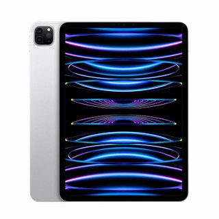 11-inch iPad Pro (4th Gen) - Silver